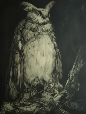 Adriaan van 't Hoff - Lithografische prent , Oehoe – Uitgegeven door De V.AE.V.O. –100x75 cm kopen? Bied vanaf 60!