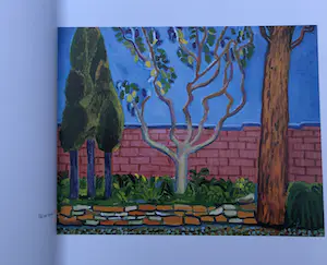 David Hockney - Close and Far kopen? Bied vanaf 1!