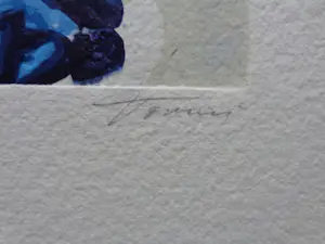 Jan Tormi - NACHTVOGEL / AQUAGRAVURE / 70x58cm / SIG / PASSE kopen? Bied vanaf 35!