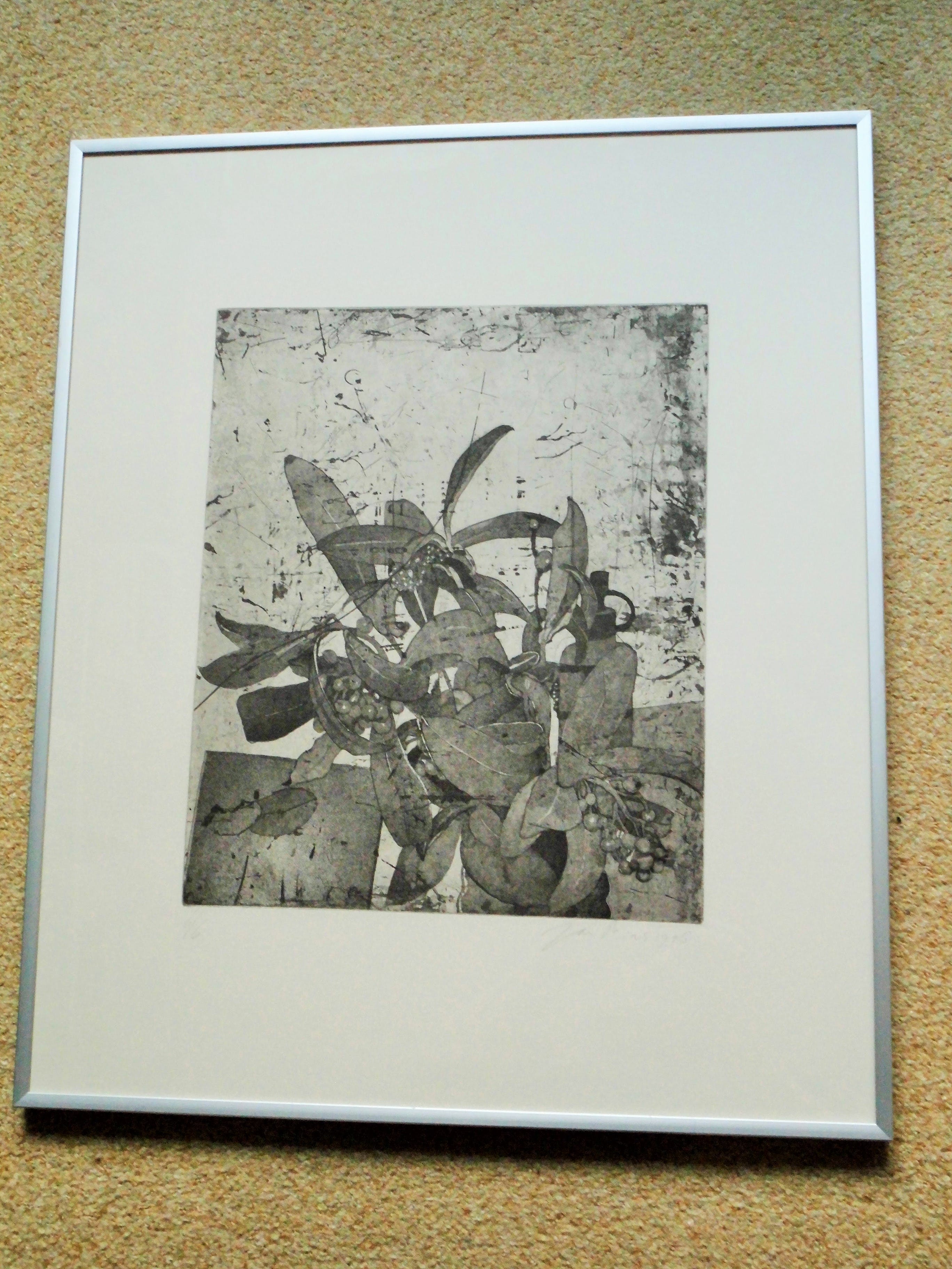 Jan Prins - Grafiek - Planten verkocht voor € 35!