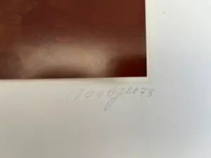 Pjeroo Roobjee - door het volk - met het volk kopen? Bied vanaf 130!