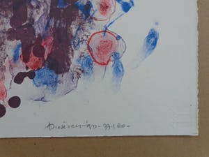 Jef Diederen - FIGURATIE / KLEURLITHO / 76x56cm / SIG / 1993 kopen? Bied vanaf 30!