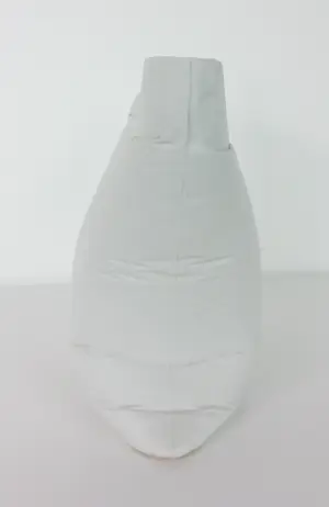 Michiel Van Luijn - Object van porselein, Tas kopen? Bied vanaf 100!