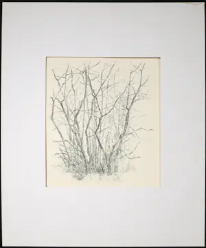 Ery Brusse - Pentekening, Struikgewas kopen? Bied vanaf 35!