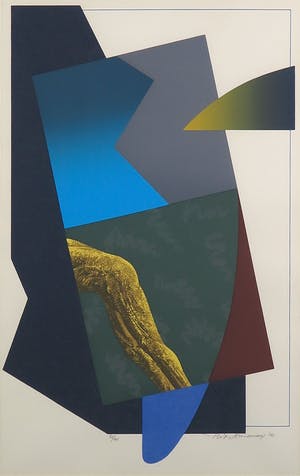 Pieter Sonnemans - Zeefdruk, Zonder titel - Ingelijst kopen? Bied vanaf 1!