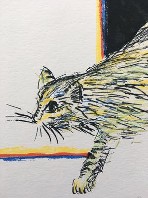 Roger Raveel - zeefdruk ‘Felix Vulgaris’ - 2010 - oplage 100 kopen? Bied vanaf 575!