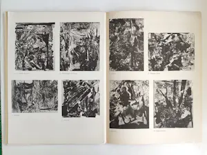 Jean-Paul Riopelle - Derrière Le Miroir n°171 - 10 original litographs kopen? Bied vanaf 250!