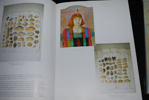 Anneke van Brussel - hardcover, gesigneerd en genummerd & extra kopen? Bied vanaf 50!