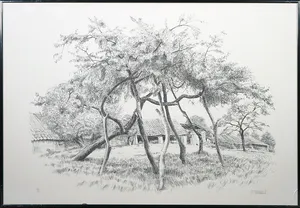 Patrick Creyghton - Litho, Gestutte boom - Ingelijst kopen? Bied vanaf 1!