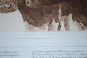 Han van Hagen - Ets 2 koeien - 2000 - oplage 200 - incl boekwerk hardcover kopen? Bied vanaf 100!