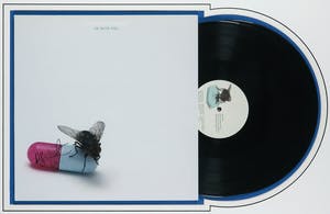 Damien Hirst - Gesigneerde LP-hoes, Red Hot Chili Peppers album: I'm with you - Ingelijst kopen? Bied vanaf 1!