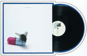 Damien Hirst - Gesigneerde LP-hoes, Red Hot Chili Peppers album: I'm with you - Ingelijst verkocht voor € 1!