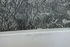 Willem Minderman - HERFSTTUIN kopen? Bied vanaf 40!