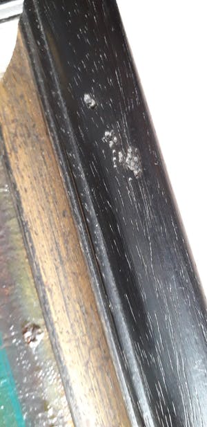 Tijmen Moll - Vrouw met kinderen kopen? Bied vanaf 125!