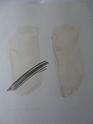 Rob Janssens - Litho, Titel. Twee verpakte stenen met mitella kopen? Bied vanaf 10!