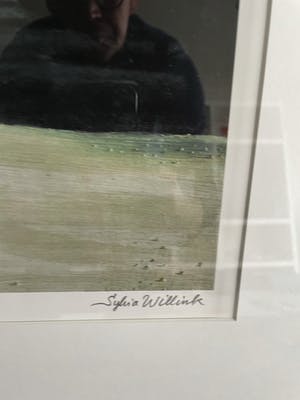 Carel Willink - Mooie grote zeefdruk kopen? Bied vanaf 225!