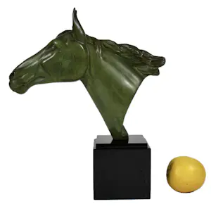 Irénée Rochard - Paard kopen? Bied vanaf 850!