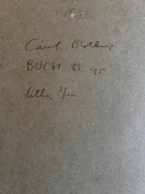 Carel Blotkamp - Buch B kaufen? Bieten Sie von 95!