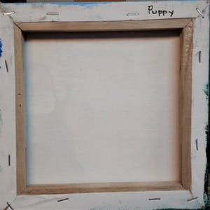 Anke Peddemors - puppy kopen? Bied vanaf 17!