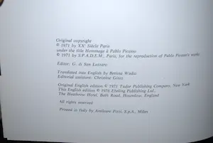 Pablo Picasso - Kunstboek met litho kopen? Bied vanaf 75!