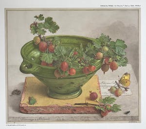 Dirk van Gelder - Gesigneerde print - 1977 - oplage: 5/250 kopen? Bied vanaf 55!