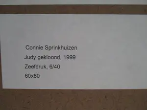 Conny Sprinkhuizen - Zeefdruk "Judy gekloond"in mooie Barth lijst! kopen? Bied vanaf 1!