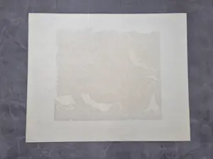 Hans Vleugels - in 1968 gemaakte houtsnede "Marsal oude boerderij Ardeche" gesigneerd kopen? Bied vanaf 38!