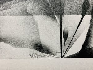 Gislain Dussart - Tulips kopen? Bied vanaf 10!