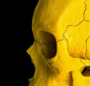 Mr. Strange - UNITED COLORS OF THE DEATH II kopen? Bied vanaf 80!