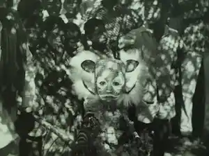 René de Bouter - Zwart-Wit foto , Tigerboy – 24 x 35 cm vendu pour 50€ !