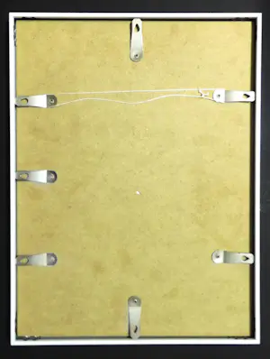 Jaap Luteyn - Aantasting door schimmel kopen? Bied vanaf 69!