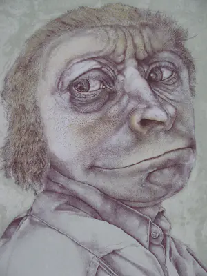 Reiner Schwarz - 'Ikzelf als schilderende aap', litho kopen? Bied vanaf 49!