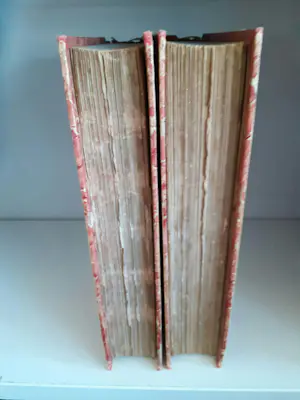 Victor Hugo - L'homme Qui Rit kopen? Bied vanaf 80!
