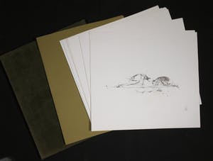 Melle Oldeboerrigter - Map (stoffen omslag) met 14 litho's, Melle (oplagenr. 1) kopen? Bied vanaf 70!