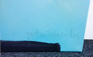 Pieter Vermeulen - acryl op doek, Schone schaal kopen? Bied vanaf 100!