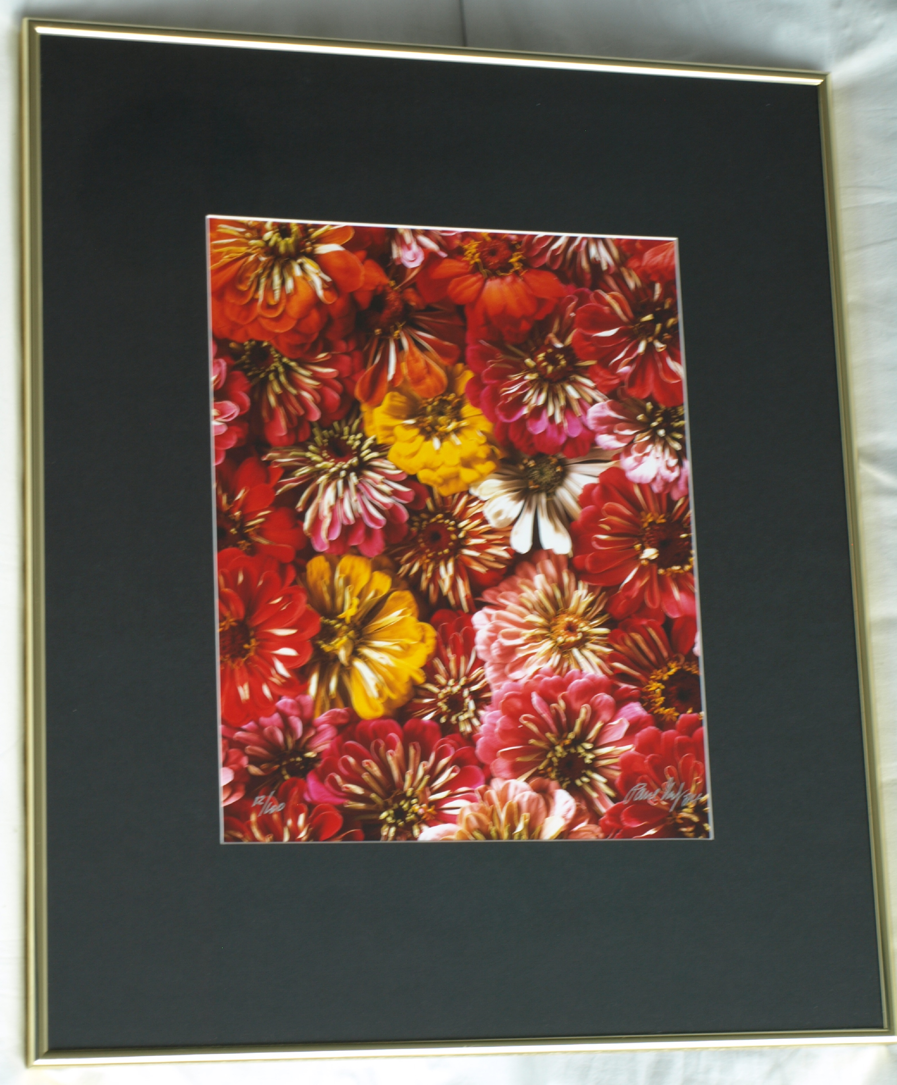 Paul Huf - Foto - Flowers – gesigneerd & ingelijst - 1984  kopen? Bied vanaf 125!
