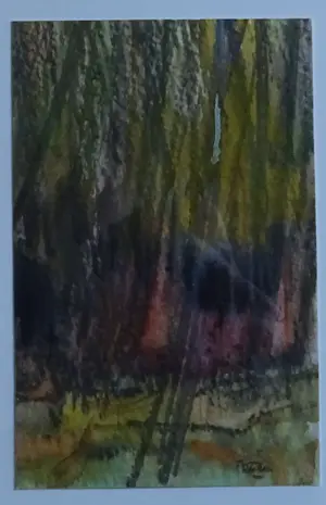 Franklin Meijer - Terschelling - 7 x kavels impressies van het eiland kopen? Bied vanaf 49!