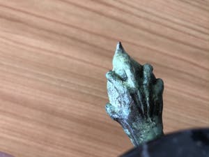 Brons (Onbekend) - Prachtig bronzen beeldje van " DUIF IN HAND " kopen? Bied vanaf 65!