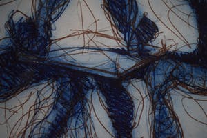 Ronald Tolman - Zonder titel kopen? Bied vanaf 50!