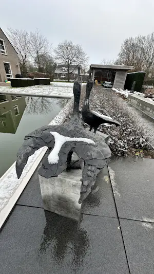 Jonneke Kodde - Contact kopen? Bied vanaf 9500!