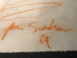 Jan Sierhuis - flamingo kopen? Bied vanaf 50!