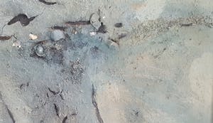 Jelle de Vries - Waddenzee kopen? Bied vanaf 200!