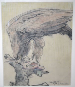 Willem Vaarzon Morel (sr.) - krijttekening van een arend - zeer fraai ingelijst kopen? Bied vanaf 275!