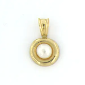 14k geel gouden hanger bezet met parel - afm 1.2 cm x 7.5 mm kaufen? Bieten Sie von 35!