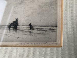 Maarten Langbroek - Langs de Noordzee Garnalenvisser Paarden kopen? Bied vanaf 35!
