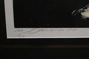 Eugène Brands - Ingelijste litho: Fruitschaal - 1988 kopen? Bied vanaf 250!