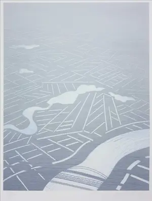 Jeroen Henneman - Litho, Nederlands landschap vanuit vogelvluchtperspectief kopen? Bied vanaf 1!