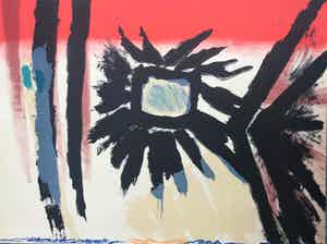 Jan Cox - Originele kleurenlitho - 1978 - 105/150 - Gesigneerd verkocht voor € 95!