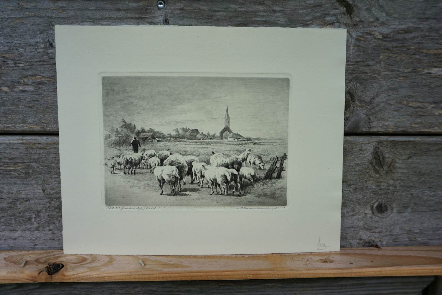 Maarten Langbroek - Voorjaar op Texel kopen? Bied vanaf 20!