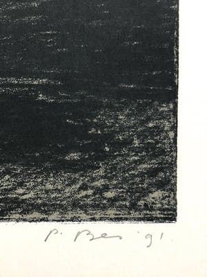 Peter Bes - Grote zeefdruk , gesigneerd kopen? Bied vanaf 40!